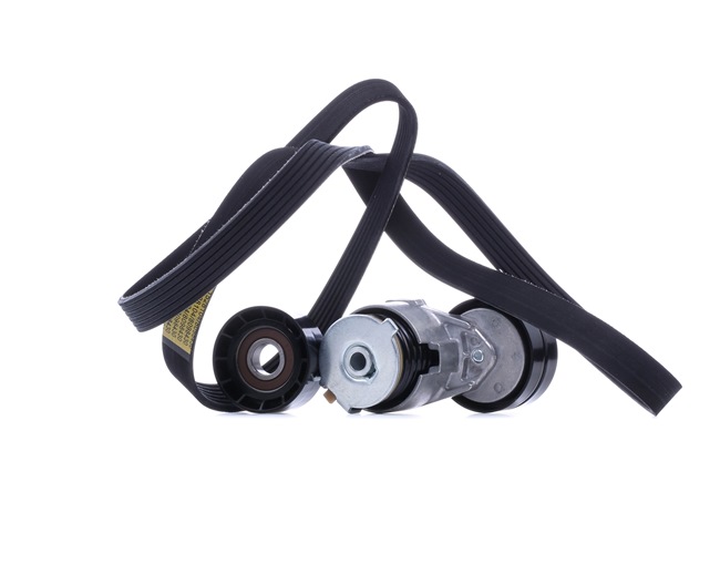 OEM Poly V-riem set RENAULT 1.9 dCI 100 101 PK Diesel van RIDEX online aan geweldige prijzen