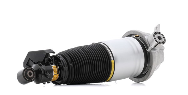 OEM Luftfederbein AUDI 4.2 quattro 314 PS Benzin 4L0616020 von RIDEX online zu attraktiven Preisen