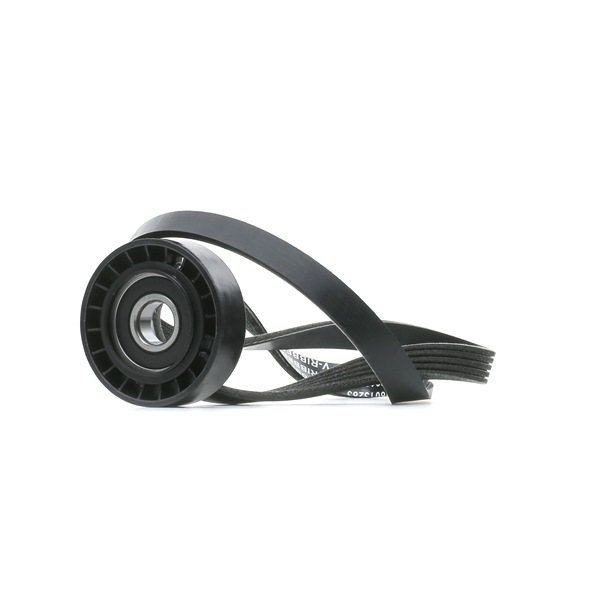 OEM Poly V-riem set FIAT 1.9 TD 90 PK Diesel van STARK online aan verbazingwekkende prijzen