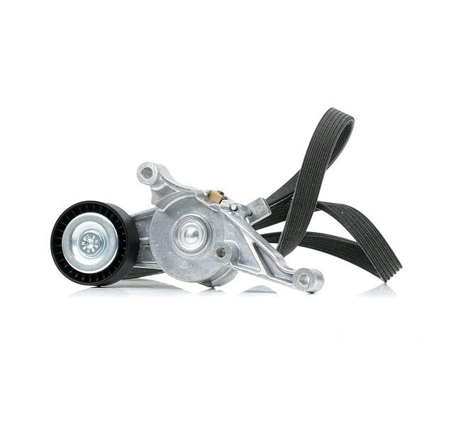 OEM Poly V-riem set VW 1.9 TDI 102 PK Diesel van RIDEX online aan verbazingwekkende prijzen