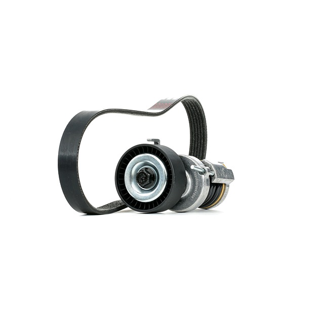 OEM Poly V-riem set SKODA 1.4 75 PK Benzine van RIDEX online aan verbazingwekkende prijzen