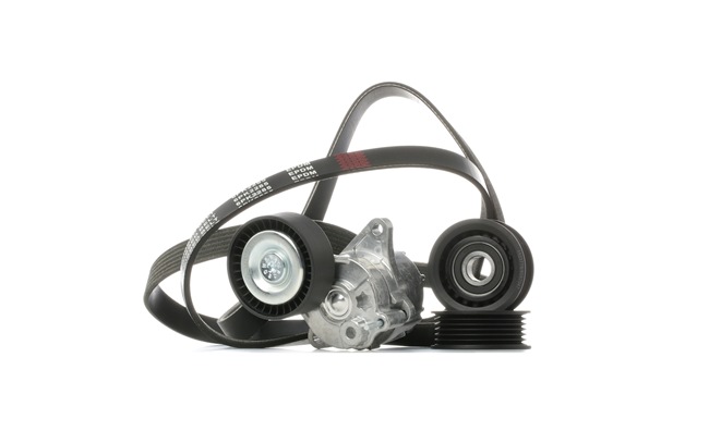 OEM Poly V-riem set MERCEDES-BENZ 211 CDI 2.2 (906.111, 906.113, 906.211) 109 PK Diesel van RIDEX online aan geweldige prijzen