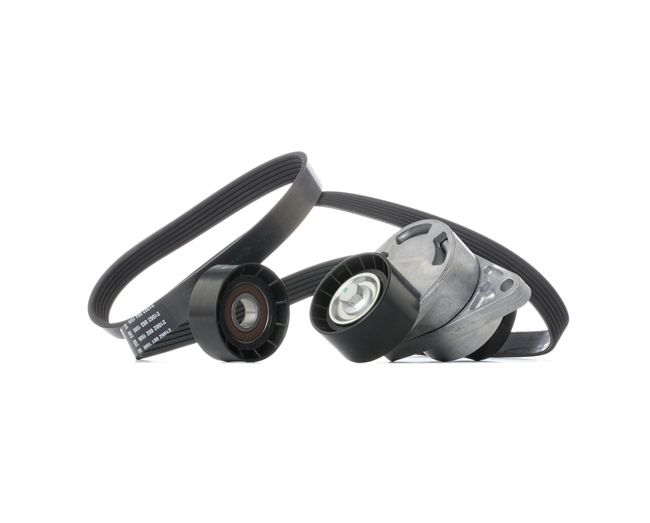 OEM Poly V-riem set RENAULT 2.5 dCi 120 115 PK Diesel van STARK online aan geweldige prijzen