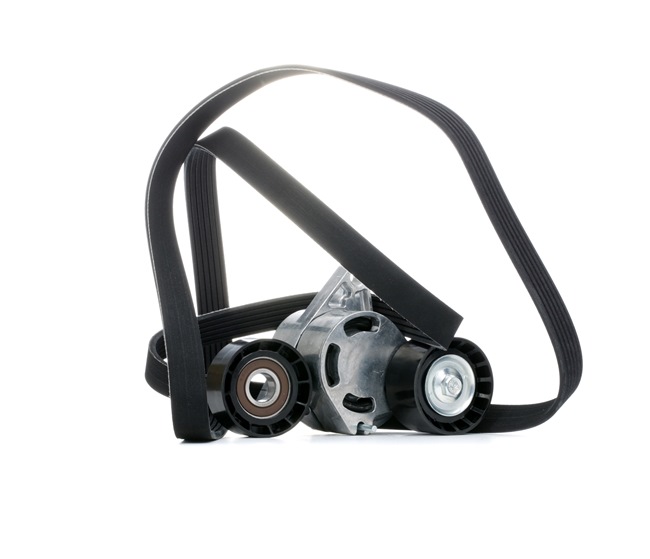 OEM Poly V-riem set RENAULT 2.5 dCi 120 115 PK Diesel van RIDEX online aan geweldige prijzen