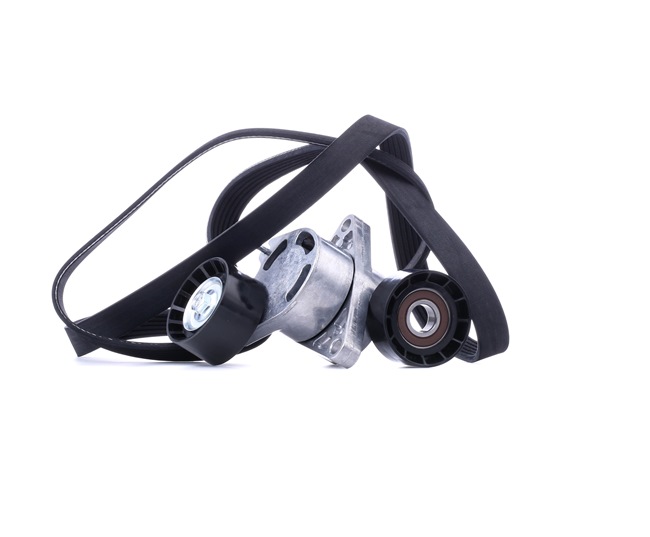OEM Poly V-riem set RENAULT 2.5 dCi 120 115 PK Diesel van RIDEX online aan geweldige prijzen