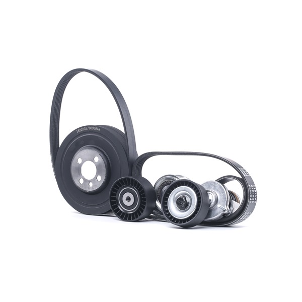OEM Poly V-riem set AUDI 2.0 TDI 140 PK Diesel van RIDEX online aan verbazingwekkende prijzen