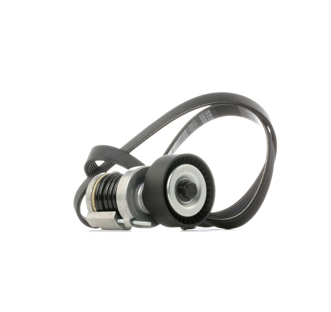 OEM Poly V-riem set VW 1.4 75 PK Benzine van RIDEX online aan verbazingwekkende prijzen