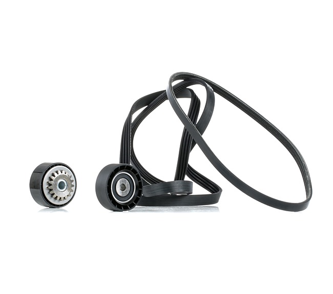 OEM Poly V-riem set RENAULT 1.2 (BB0A, BB0F, BB10, BB1K, BB28, BB2D, BB2H, CB0A,... 58 PK Benzine van RIDEX online aan verbazingwekkende prijzen