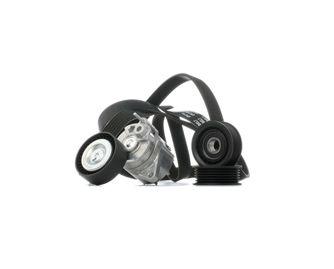 OEM Poly V-riem set MERCEDES-BENZ 411 CDI 4x4 109 PK Diesel van RIDEX online aan geweldige prijzen