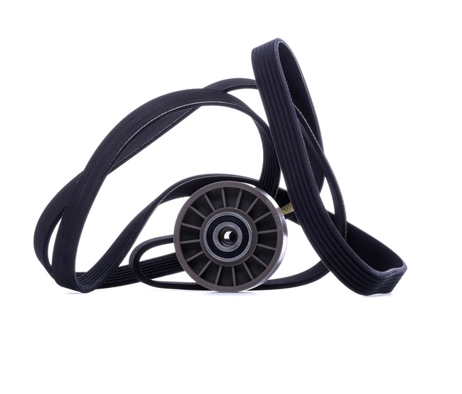 Acquista online Kit Cinghie Poly-V 542R1041 originale a buon mercato, comparabile con i numeri OEM 0039938596