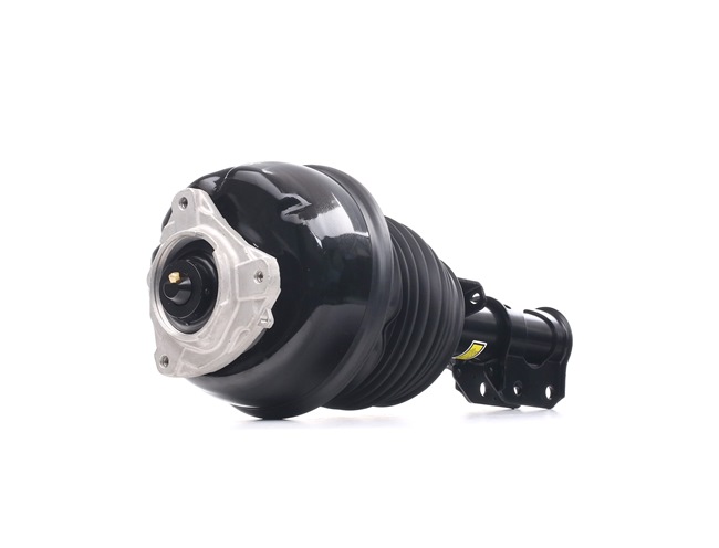 RIDEX Pneimoatsperes statnis 4118A0126