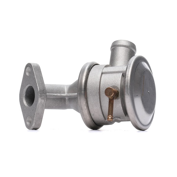 Kupite poceni originalno Ventil, sistem crpalke dodatnega zraka 863V0006, primerljivo z 1435420 OEM številke, prek spleta