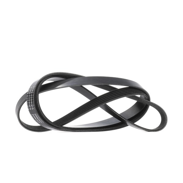 Acquista online Cinghia servizi 305P0576 originale a buon mercato, comparabile con i numeri OEM 0119978592