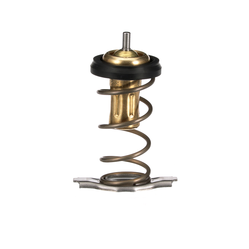 OEM Termostat, chladivo FIAT 1.6 D Multijet (263AXP1B, 263AXW1B) 95 HP Diesel 1769055P00 od GATES online za výborné ceny