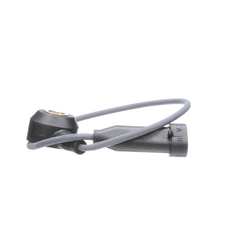 RENAULT Detonācijas sensors ar oriģinālu kvalitāti 10456240, 10456669, 6238370 no DELPHI