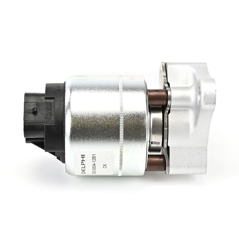 Compre DELPHI Válvula EGR Número de producto: EG10004-12B1 a bajo precio de 91,51 €