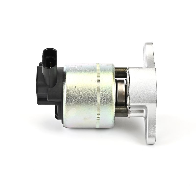OEM AGR - Ventil OPEL 2.6 V6 (F69, M69, P69) 180 HP Benzín 10794107 od DELPHI online za výborné ceny