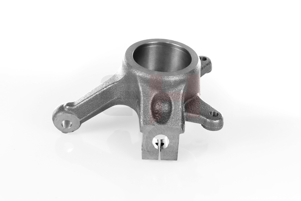 OEM Fuseestuk RENAULT 3.0 dCi 140 136 PK Diesel 4500096 van GH online aan geweldige prijzen