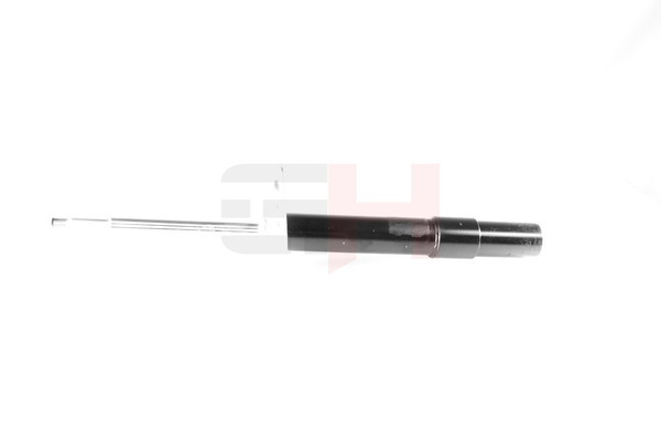 GH 1 091 921 Stoßdämpfer