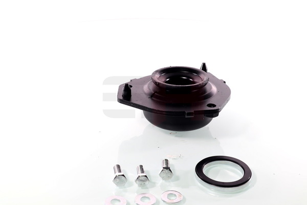 Įsigykite nebrangią originalią Remonto komplektas, pakabos statramstis GH-361958H. sulyginama su 1318573080 OEM numeriais internetu