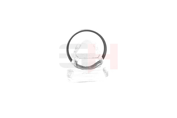 OE Inel ABS CITROËN DS4 2015 424919, 424923, 424932 de la GH