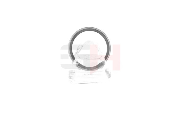Kupite GH Senzorski obroc, ABS Št. izdelka: GH-493910 po nizki ceni 11,11 €