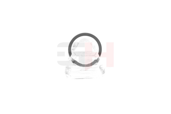 GH Senzorski obroc, ABS GH-493985