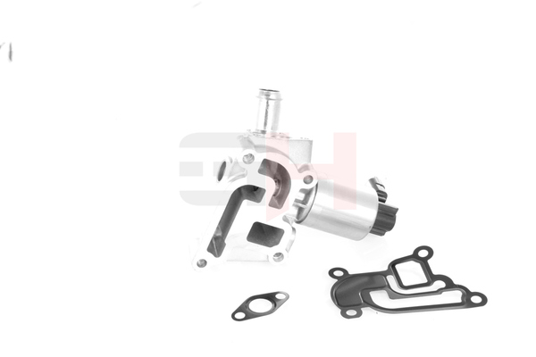 OEM EGR klep OPEL 1.2 (F08, F68) 75 PK Benzine 09157671 van GH online aan verbazingwekkende prijzen