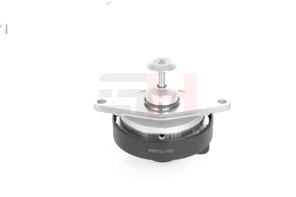 Compre Válvula EGR GH-733665 original asequible comparable con números OEM online 0849124