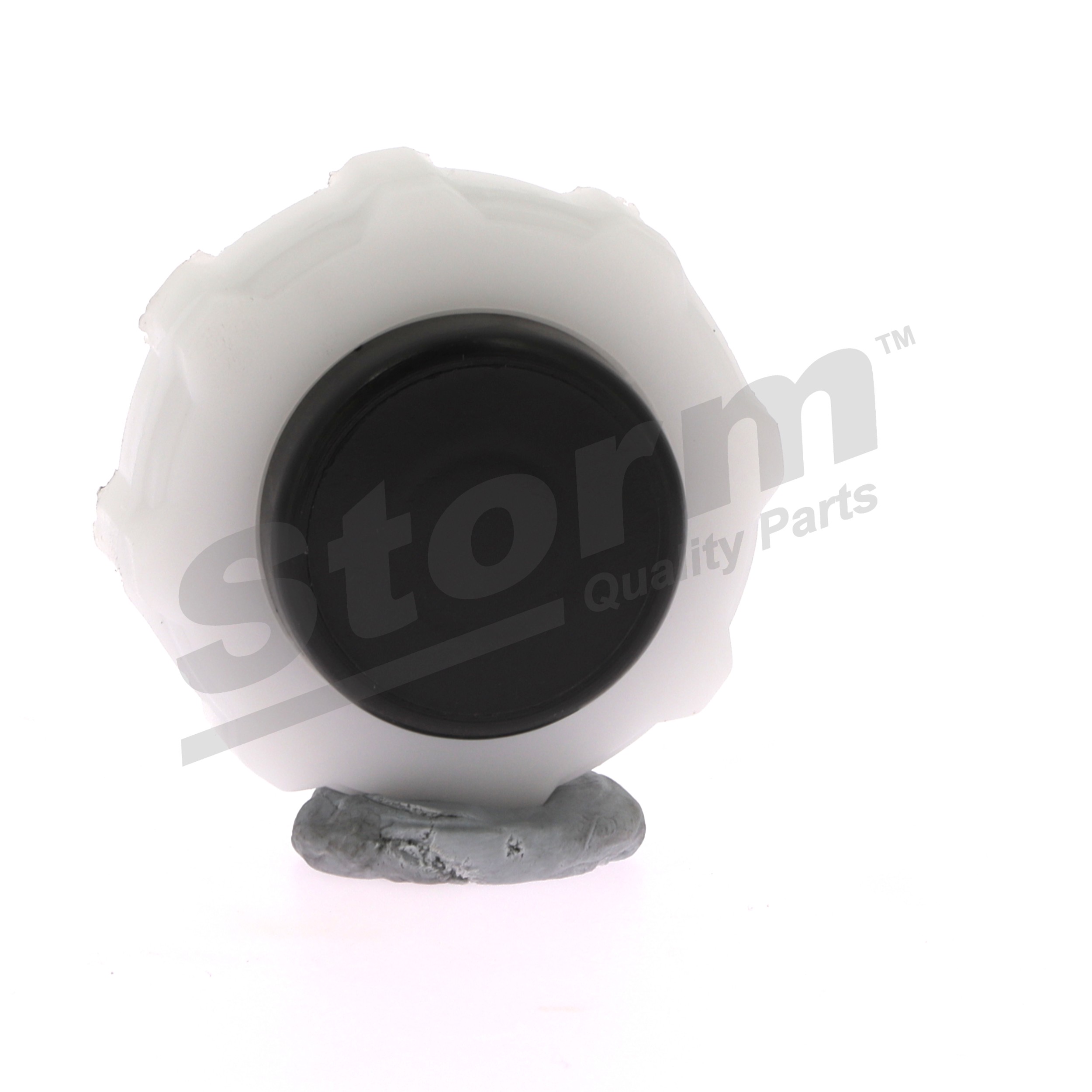 RENAULT 2.0 i (JA02, JA0G) 109 AG benzinas Dangtelis, radiatorius OEM 7700805031 iš STORM QUALITY PARTS internetu puikiomis kainomis