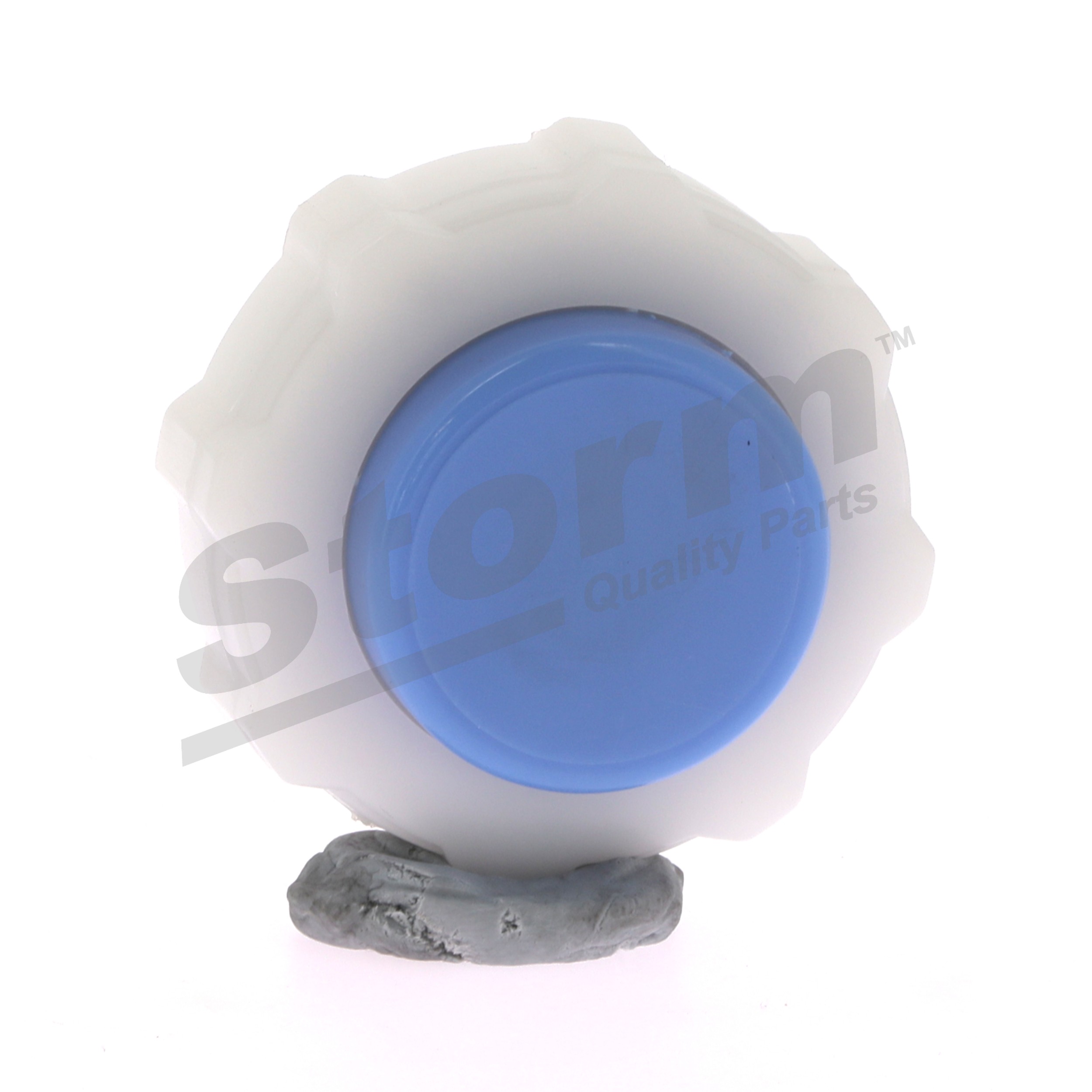 RENAULT 2.0 i (JA02, JA0G) 109 AG benzinas Dangtelis, radiatorius OEM 1793284CT0 iš STORM QUALITY PARTS internetu puikiomis kainomis