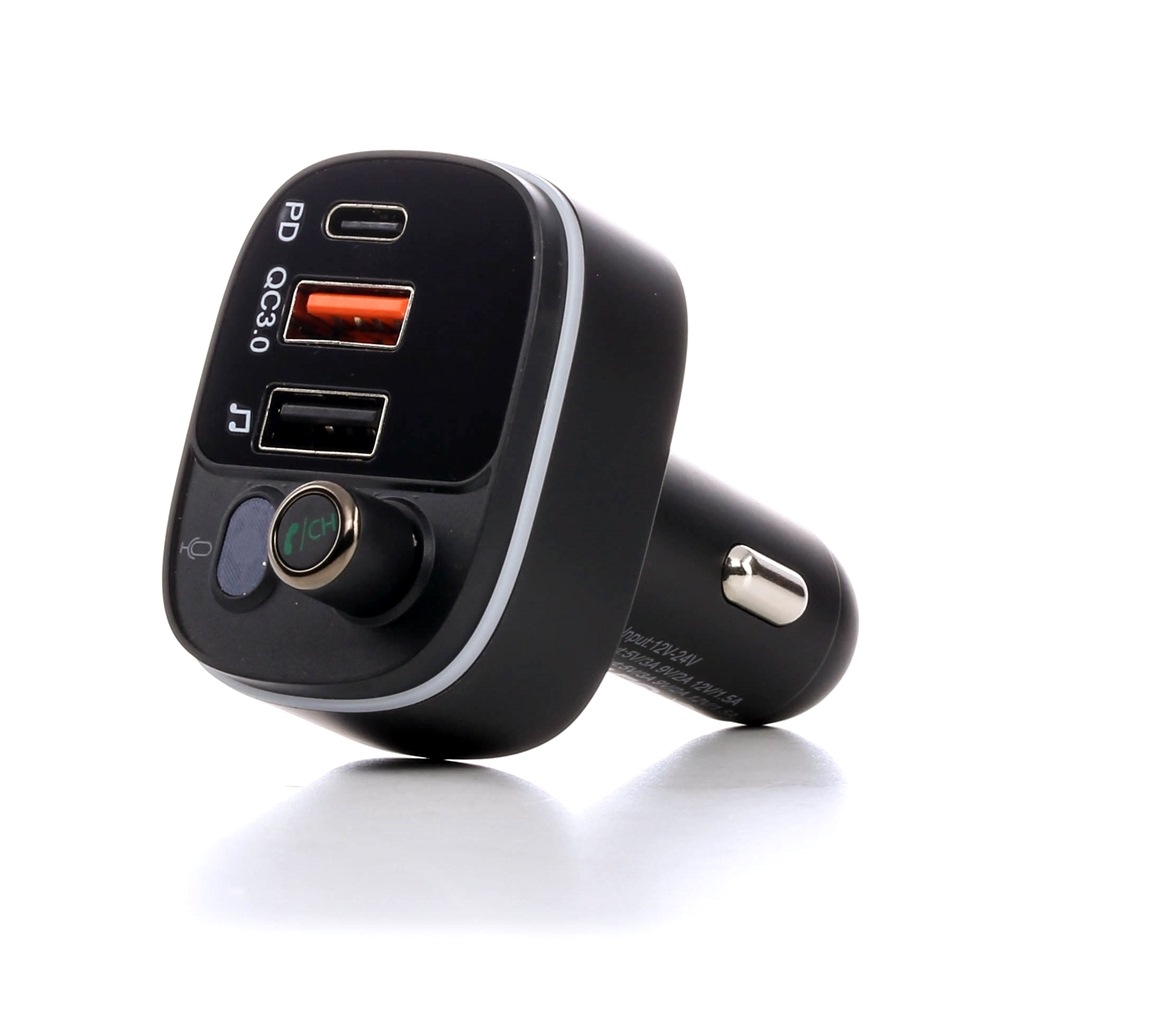 RIDEX 100013A0018 Main libre