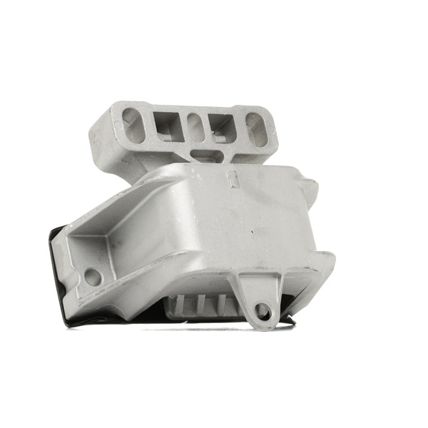 OEM Mounting, manual transmission VW 2.8 VR6 177 HP Petrol 1J0199555AP from RIDEX online at great prices