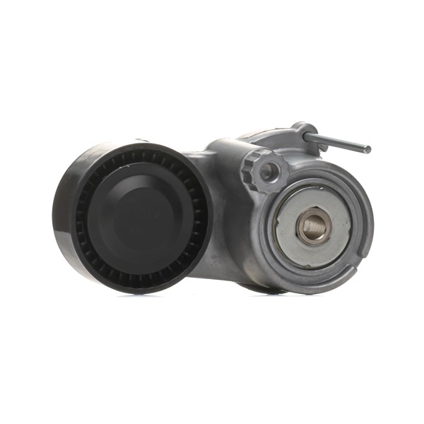OEM Polea tensora, correa poli V VAUXHALL 1.6 D (35) 136 CV Gasóleo 55570067 de RIDEX online a precios inmejorables