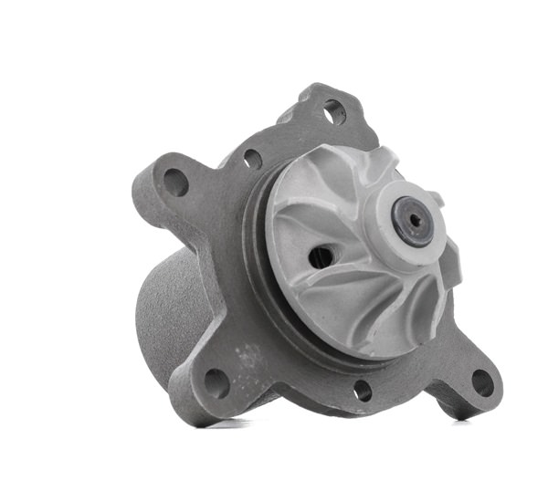 Įsigykite nebrangią originalią Vandens siurblys 1260W0581. sulyginama su 6172000520 OEM numeriais internetu