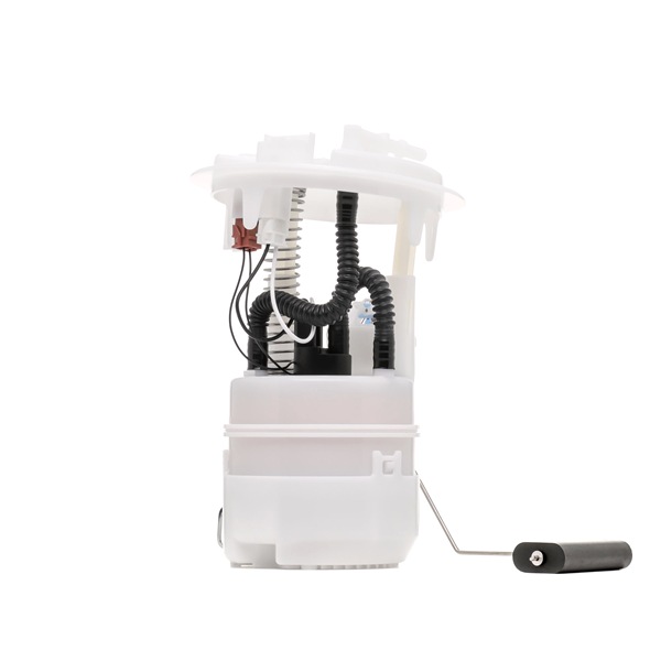 RIDEX 1382F0510 pompe d'alimentation DS DS3 Cabriolet 1.2 VTi 82 82 CH Essence