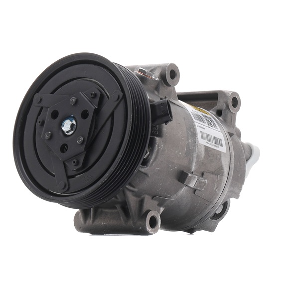 OEM Компресор за климатик RENAULT 1.6 (JA00, JA16, JA15, JA19, JA1V, JA2B, JA2C, JA0B,... 107 K.C. бензин 21000048 от RIDEX REMAN онлайн на супер цени