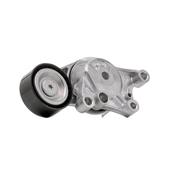 OEM Rolă accesorii CITROËN C3 III Van / Hatchback (SX, SY) 2025 1611503780, 3641389, 9807720180 SKF