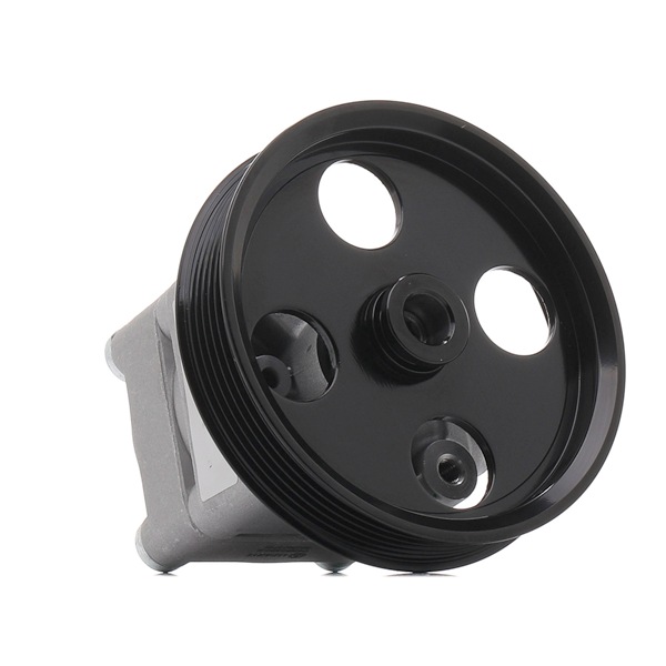 Köp billiga original Servopump 12H0057R jämförbara med 36002542 OEM nummer på nätet