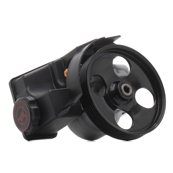 Ostke odavaid originaale Roolivõimu pump 12H0035R mis on võrreldavad 9631411580 OEM numbritega internetis