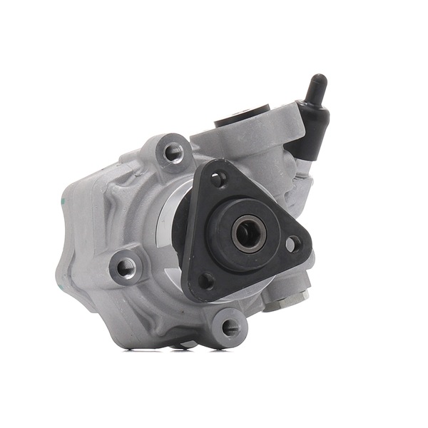 OEM Servopump VW 2.0 TSI 204 hk Bensin 2H0422154A från RIDEX REMAN på nätet till fantastiska priser