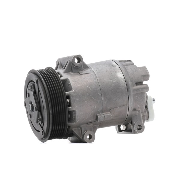RENAULT 1.9 dCi RX4 102 AG dyzelinas Kondicionieriaus kompresorius OEM 21000174 iš RIDEX REMAN internetu puikiomis kainomis