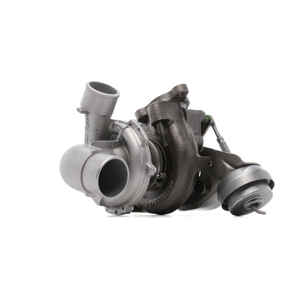 Kupite poceni originalno Turbopolnilnik 2234C10644R, primerljivo z 1720126070 OEM številke, prek spleta