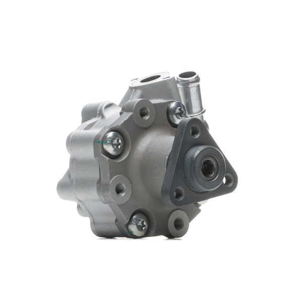 Originale Servopumpe PORSCHE 3.6 GTS 446 PS Benzin 7L8422154F von RIDEX im Internet zu fairen Preisen