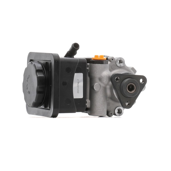 BMW 530d xDrive 3.0 235 HP Diisel Roolivõimu pump OEM 32416760956 RIDEX REMAN internetist äärmiselt madalate hindadega