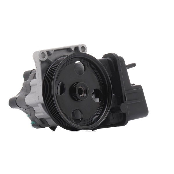 Cumpărați online Pompă de servodirecție 12H0125R original/ă și la un preț mic, compatibil/ă cu nr. OEM A006466260180