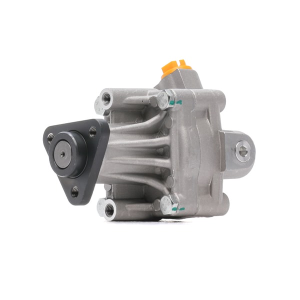 Kupte si levné originální Servo čerpadlo 12H0828 porovnatelné s 050145155CX OEM čísly online
