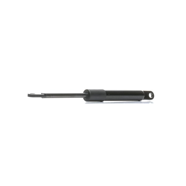 OEM Portbagaj MASERATI Biturbo Spider 1992 98004000, 314720118 RIDEX