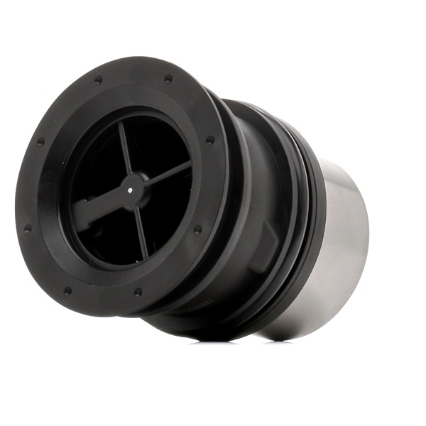 OEM Termostat, chladivo PORSCHE 4.8 Turbo 540 HP Benzín 94810603400 od RIDEX online za výborné ceny