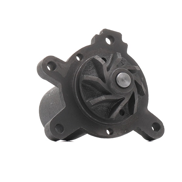 Įsigykite nebrangią originalią Vandens siurblys 1260W0646. sulyginama su 6162000720 OEM numeriais internetu